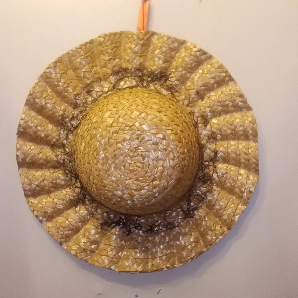 Wall Decor Straw Hat With Grass Decor On Top